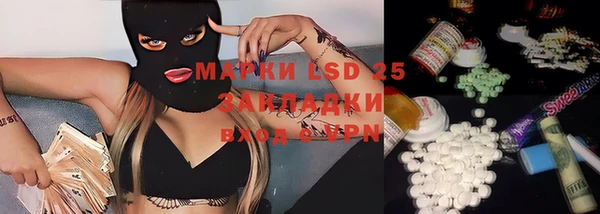 прущая мука Арсеньев
