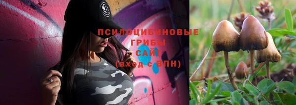 мет Аркадак