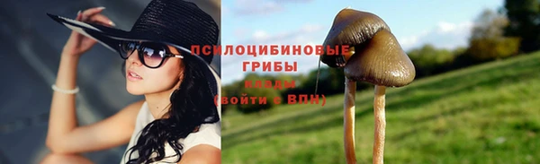 прущие крисы Армянск