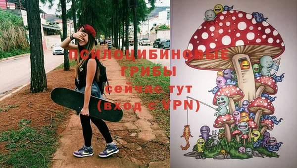 мет Аркадак