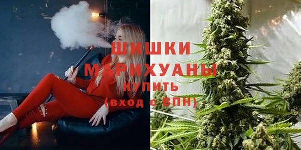 прущая мука Арсеньев