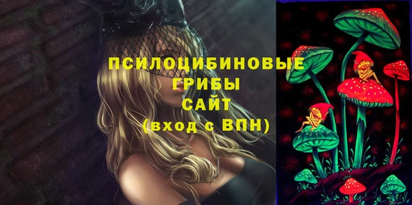 мет Аркадак