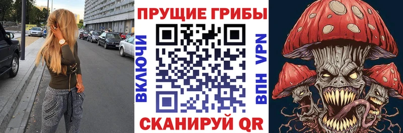 Псилоцибиновые грибы GOLDEN TEACHER купить наркотики сайты Починок